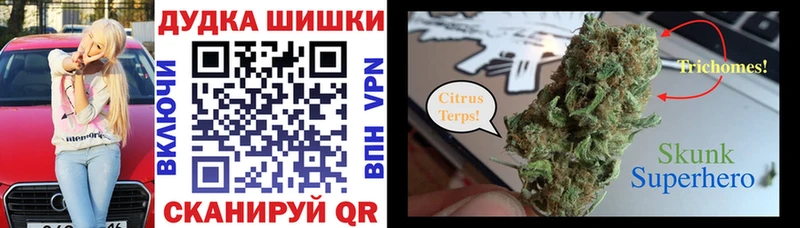Каннабис SATIVA & INDICA Белокуриха